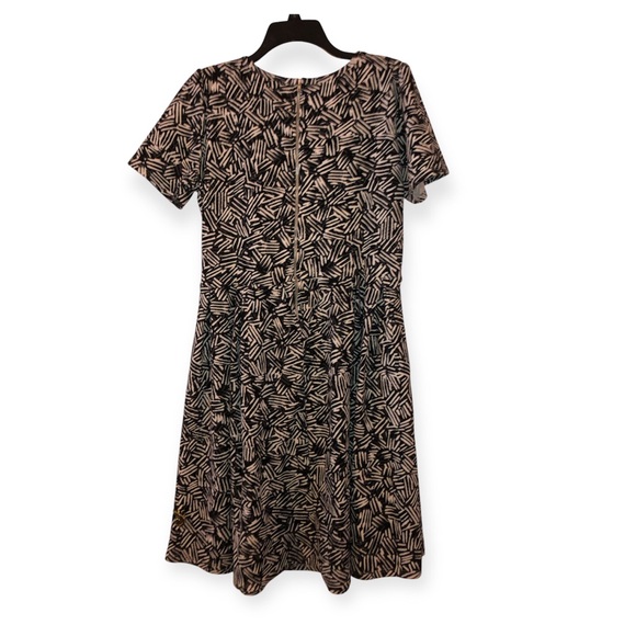 LuLaRoe Amelia RARE zebra stripped dress - Picture 2 of 6